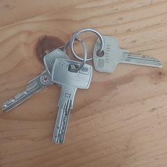 Sleutels, come riportato a iLost