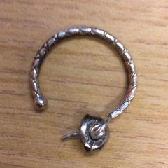 Oorbel, a été signalé par Canisius-Wilhelmina Ziekenhuis utilisant iLost