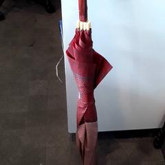 مظلة، كما تم الإبلاغ عنه بواسطة EBS Tramplein عبر iLost