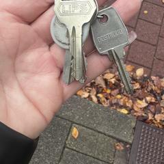 Sleutelbos, som rapportert til iLost