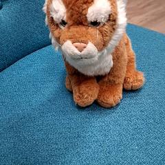 Animal de peluix, segons ha informat RRReis Trein Amersfoort / Ede-Wageningen mitjançant iLost