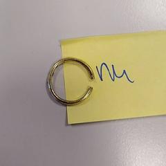 Ring, as reported by Vrije Universiteit Amsterdam using iLost