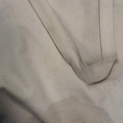 Treningssekk Wit, som rapportert av Arriva Friesland / Groningen ved bruk av iLost