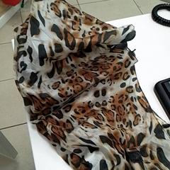 Umbrella, as reported by ilévia using iLost