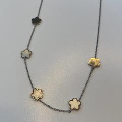 Pegar Zilver, segundo informou UMC Utrecht usando iLost