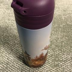 İLost kullanarak Pathé Helmond tarafından bildirildiği gibi Şişe