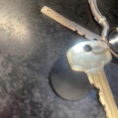 Keys, as reported by Rotterdam The Hague Airport using iLost