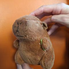 Capibara hamster knuffel, gerapporteerd met iLost