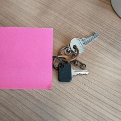 İLost kullanarak Arriva West-Brabant tarafından bildirildiği gibi Sleutelbos