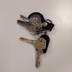 Chaves, como reportado por Vrije Universiteit Amsterdam utilizando o iLost