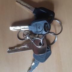 Sleutelbos, iLost에 보고됨