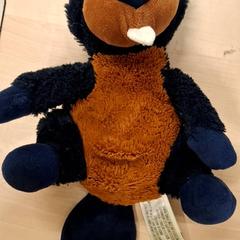 Peluche, como reportado por IKEA Hénin-Beaumont utilizando o iLost