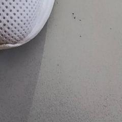Schoenen, zoals gemeld door De Efteling met iLost