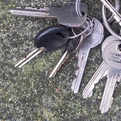 sleutelbos, segons s'ha informat a iLost