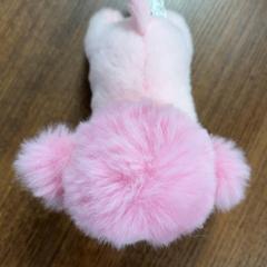 Animal de peluix, segons ha informat Pathé Leeuwarden mitjançant iLost