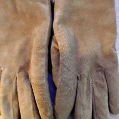 Hansker, som rapportert av EBS Tramplein ved bruk av iLost