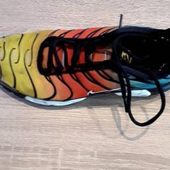 Shoe, as reported by EBS Tramplein using iLost