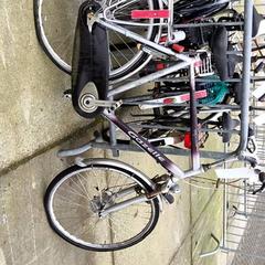 Men’s bike Gazelle, as reported by Stadswerk072 using iLost
