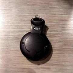 Autosleutel, zoals gemeld door Van der Valk Hotel Vianen met iLost