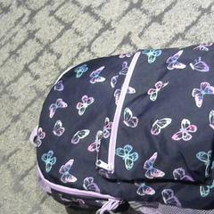 Rucksack, gemeldet von Relais Azalys über iLost