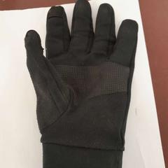 장갑 noir, iLost를 사용하여 TCL에 보고됨