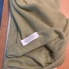 İLost kullanarak UMC Utrecht tarafından bildirildiği gibi Kurdele Lentegroen