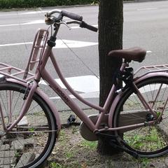 Roze fiets, iLost에 보고됨