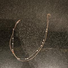 Kettinkje Zilver/rose, jak nahlášeno Hotel Van der Valk Harderwijk op de Veluwe pomocí iLost