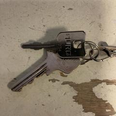 열쇠, iLost를 사용하여 Artis에 보고됨