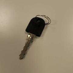 İLost kullanarak Vrije Universiteit Amsterdam tarafından bildirildiği gibi Sleutel