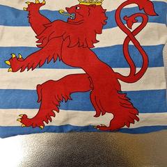 Bag, as reported by IKEA Bratislava using iLost