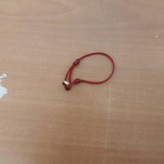 سوار، كما تم الإبلاغ عنه بواسطة Grand Hotel Amrath Kurhaus عبر iLost