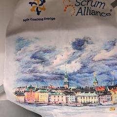 Gimnasio zakua, gisa salatu by Keolis Lund iLost erabiliz