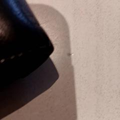 Wallet, as reported by De Efteling using iLost