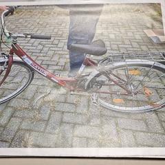 Bicicleta de senhora, como reportado por Gemeente Roermond utilizando o iLost
