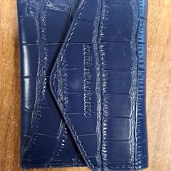 Pashouder Smits, rapporterat av Qbuzz DMG med iLost