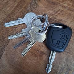 Sleutelboa, ako bolo nahlásené iLost