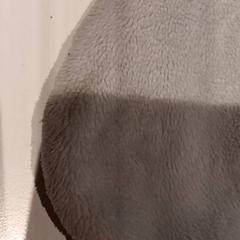 Peluche, come riportato da De Efteling utilizzando iLost