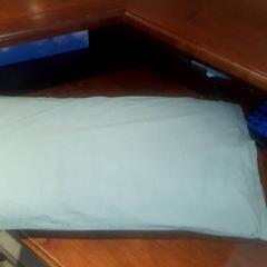 Coixí, segons ha informat Grand Hotel Amrath Kurhaus mitjançant iLost