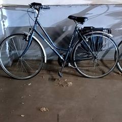 Bicicletta Rambler Groen/zwart, come riportato da Fietsdepot Hasselt utilizzando iLost