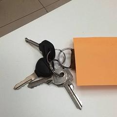 Brelok do kluczy de clés, zgłoszono przez ilévia przy użyciu iLost