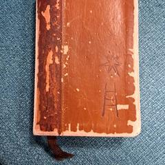 Biblia, gisa salatu by RRReis Trein Amersfoort / Ede-Wageningen iLost erabiliz