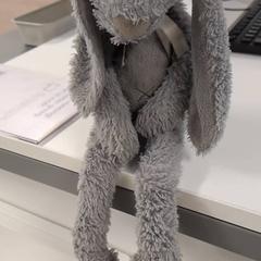 Knuffel, zoals gemeld door IKEA Amsterdam met iLost