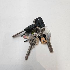 Nycklar Disney, rapporterat av Rijksmuseum van Oudheden med iLost