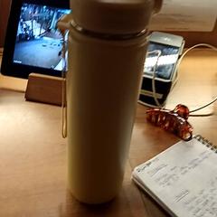 Butelka, zgłoszono przez BOAT&CO przy użyciu iLost