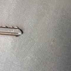 Nøkkel Zilver, som rapportert av Arriva Friesland / Groningen ved bruk av iLost