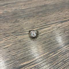 Zilver ringen zilver, rapporterat av WestCord Hotel Eindhoven med iLost