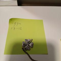 Pegar, segundo informou Cursus en vergadercentrum Domstad usando iLost