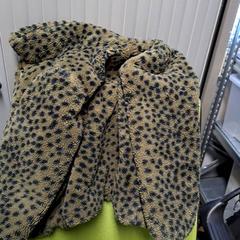 ジャケット Lola Luna がiLostで Connexxion Haarlem IJmond によって報告されました