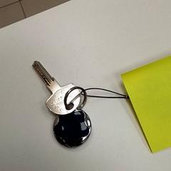 Pouzdro na klíče s klíči, jak nahlášeno ilévia pomocí iLost